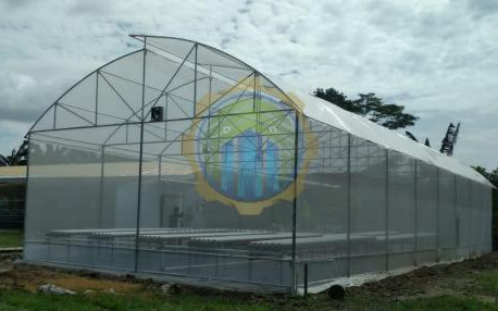 Green House